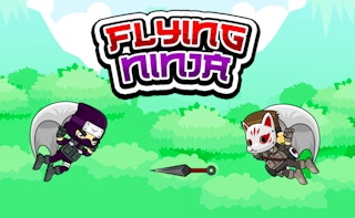 Image Flying Ninja